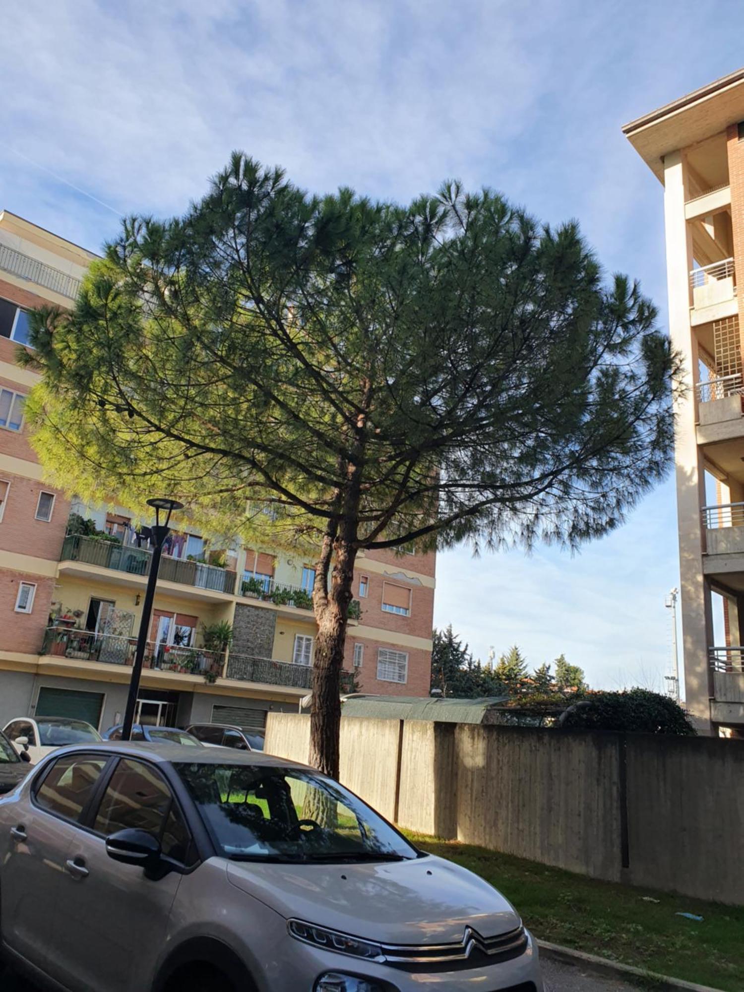 Appartamento Di Delfina Pescara Exterior foto